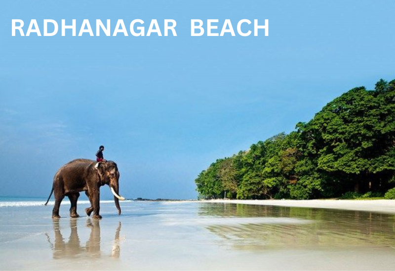 8 best beaches in India