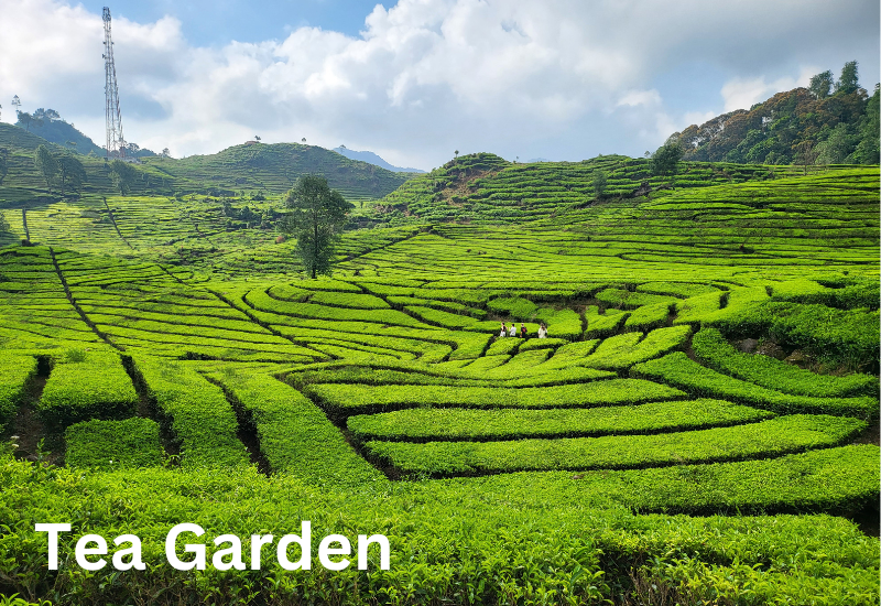 10 best adventure destination in India
