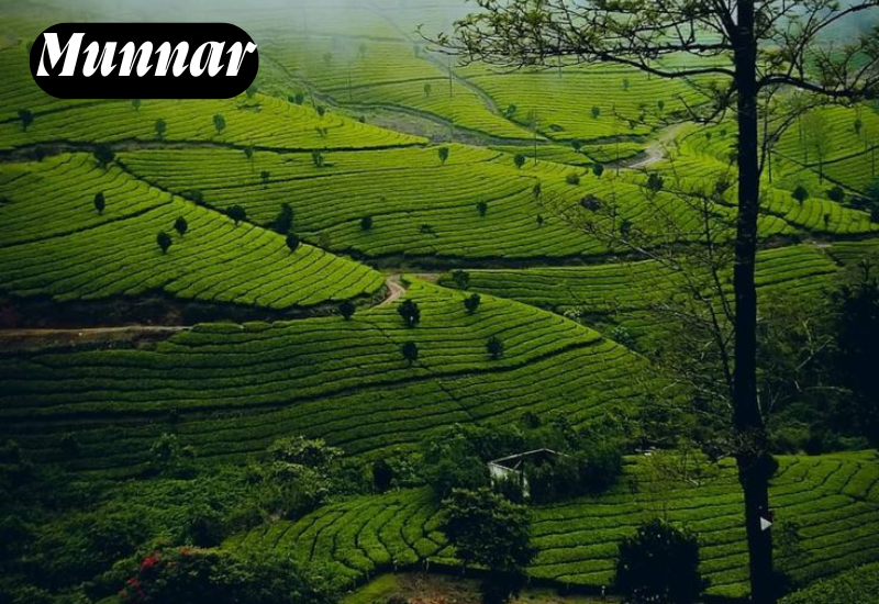 10 best hill station in India