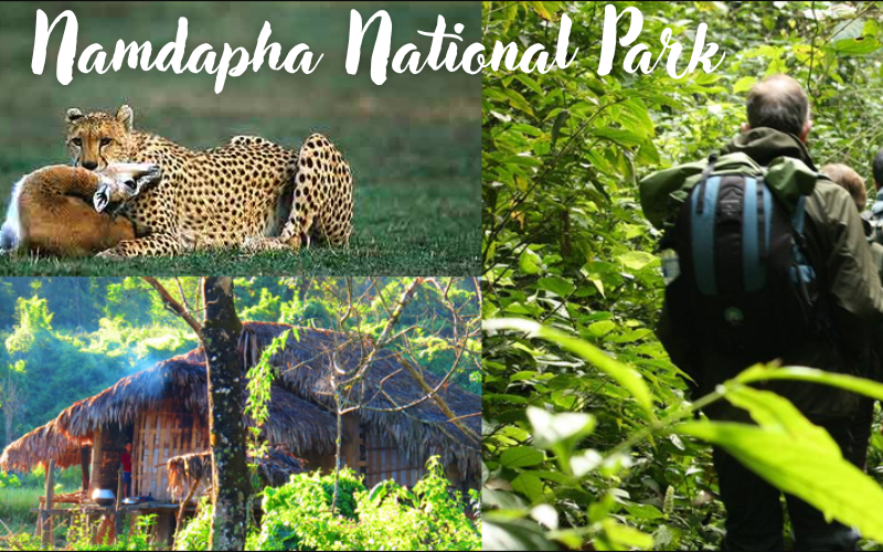 10 beautiful forests in India