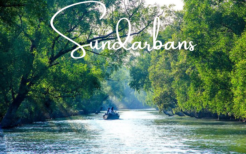 10 beautiful forests in India