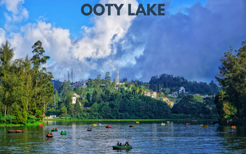 Safe Solo Travel Destinations for Women in India