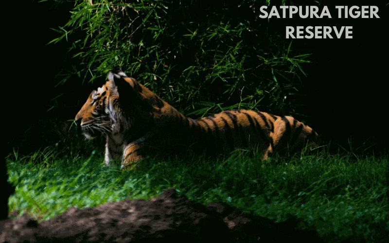 Night Tourism in India