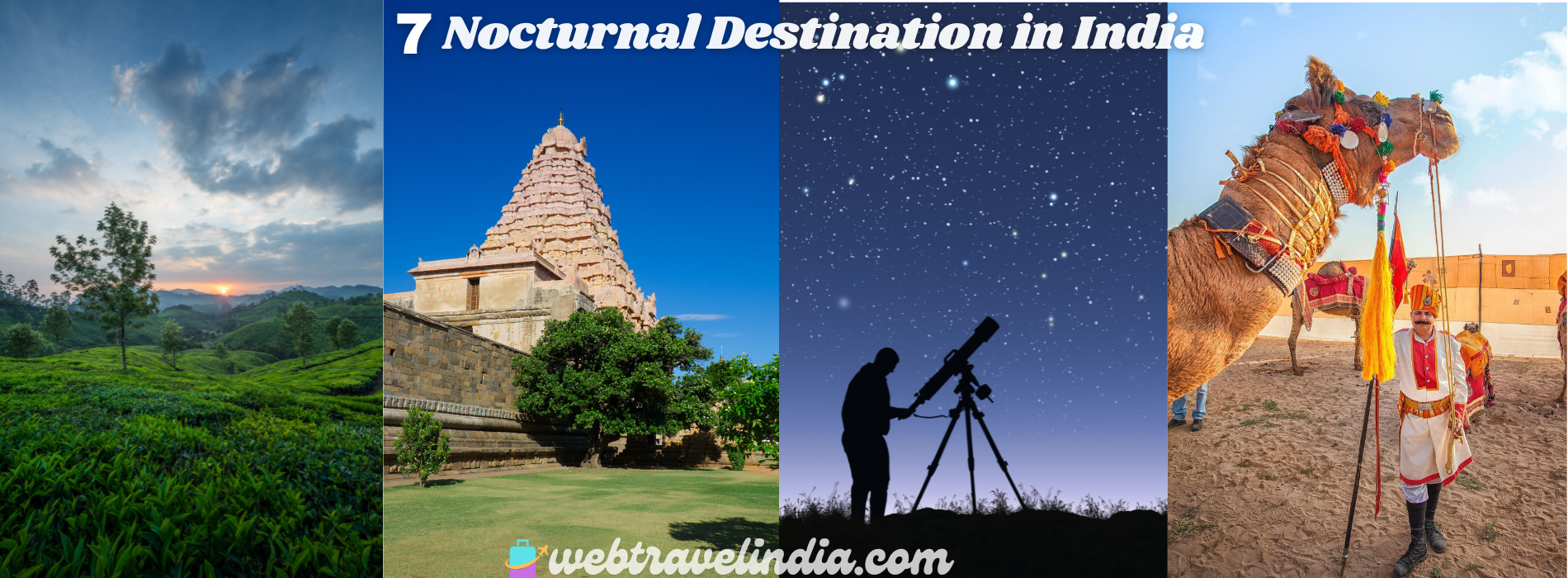 Stunning view of a hidden noctourism destination in India featuring starlit sky, peaceful landscape, and night camping under the stars