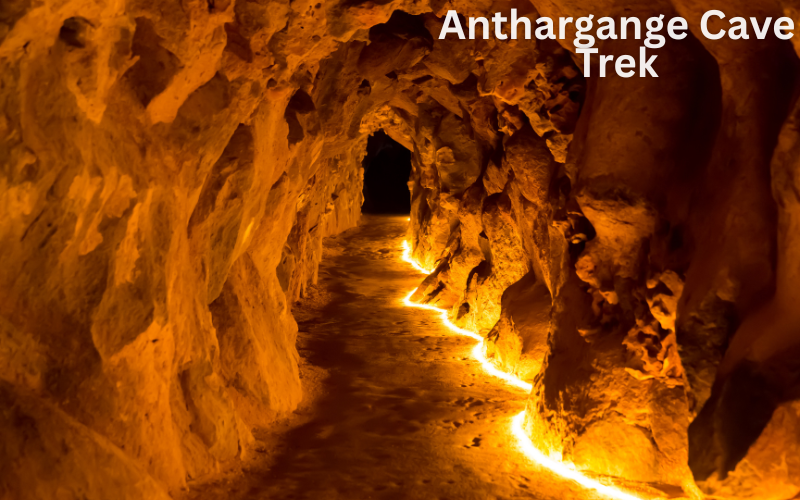 Best Night Treks in India