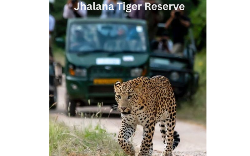 Night Safaris in India