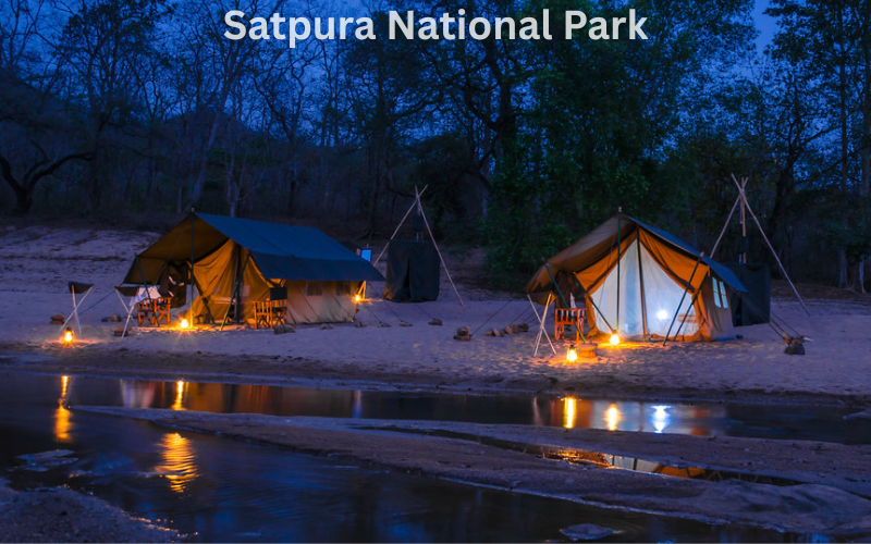 Night Safaris in India