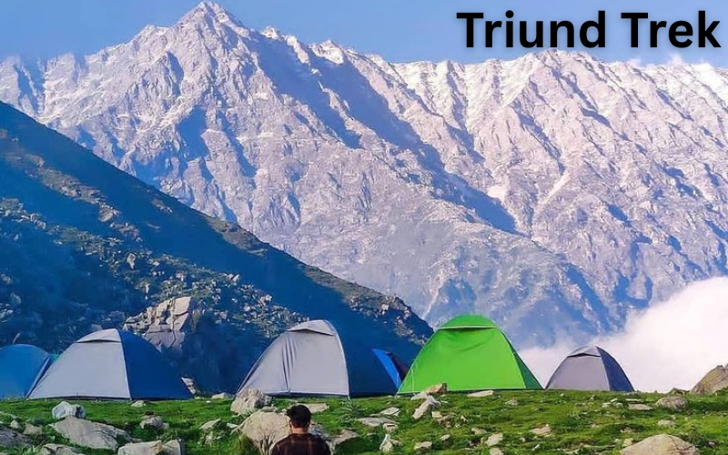 Best Night Treks in India