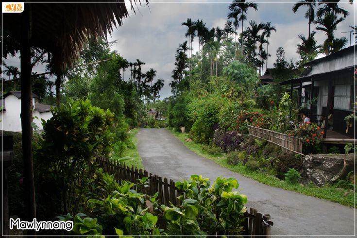 Clean stone pathways and eco-friendly bamboo houses in Mawlynnong Village