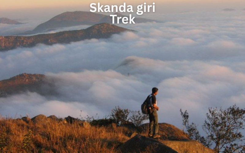 Best Night Treks in India