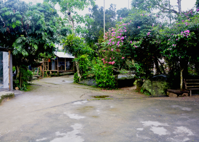 Cleanest village in Asia – Mawlynnong with bamboo houses and flower-lined paths