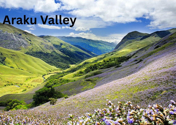 Panoramic landscape view of Araku Valley, Andhra Pradesh – a serene and lush green nature escape in India.
