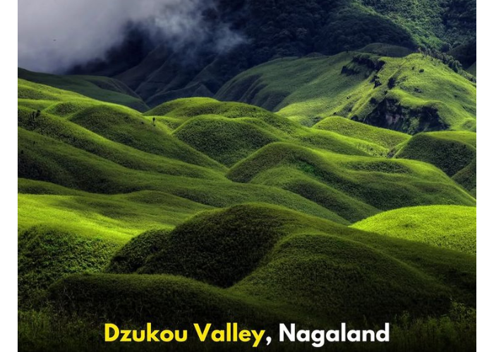 Scenic green landscapes of Dzukou Valley, Nagaland – a peaceful and offbeat nature escape in Northeast India