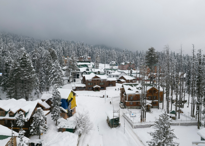 Snow-covered meadows and pine forests in Gulmarg, Jammu & Kashmir during early November snowfall