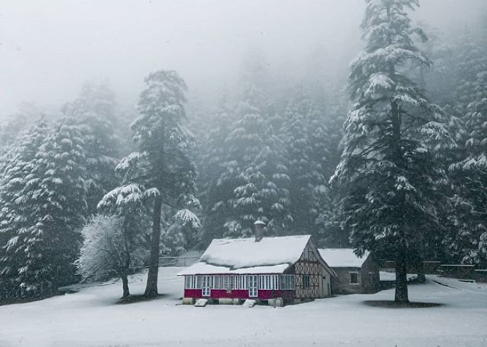Beautiful apple orchards and mountains of Narkanda covered in first snow of November