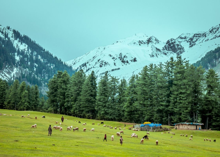 Scenic view of Pahalgam valley and Lidder River after fresh November snowfall