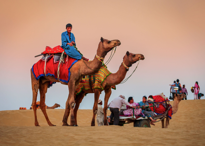 “Beautiful view of Jaisalmer Fort in Rajasthan – best state to visit in India in January”