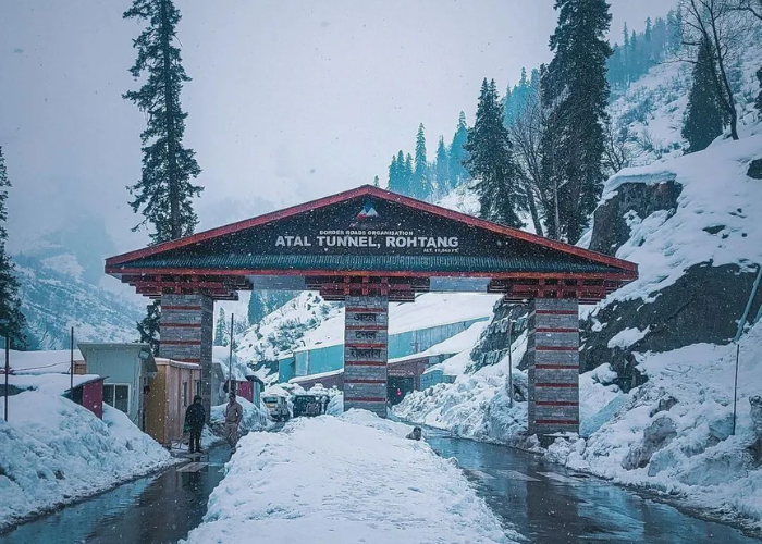 Delhi to Manali Volvo bus journey during New Year season